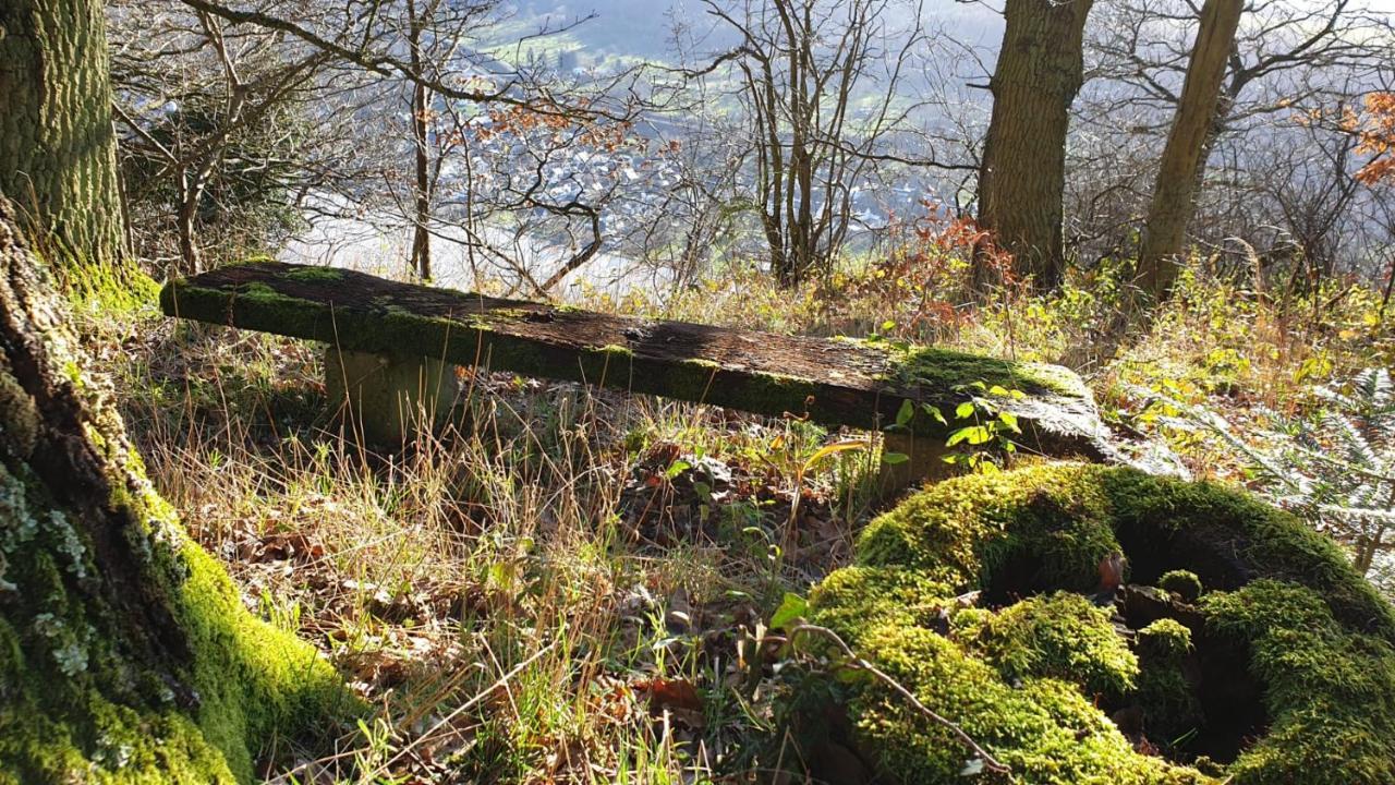Apartmán Mosea Zeltingen-Rachtig Exteriér fotografie